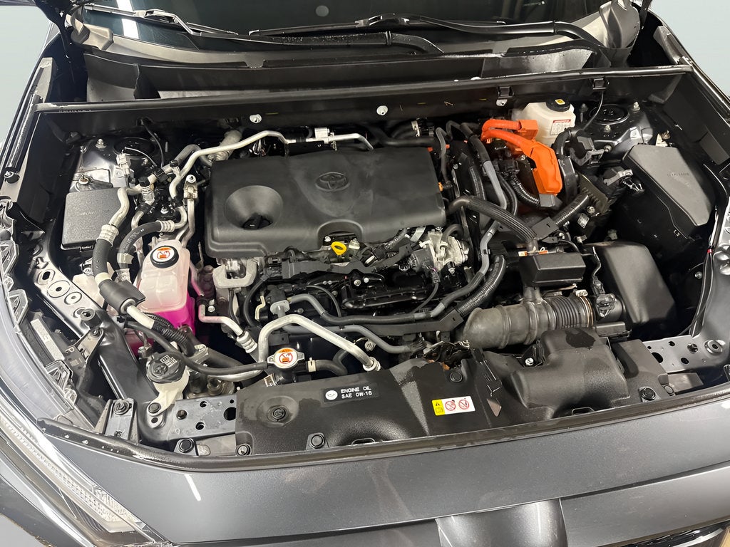 2024 Toyota RAV4 Prime XSE